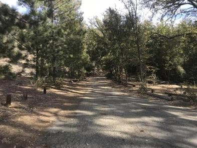 DAVY BROWN CAMPGROUND photo 3