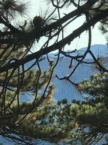 REYES PEAK CAMPGROUND photo 3