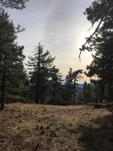 REYES PEAK CAMPGROUND campground