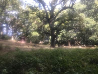 WHITE OAKS CAMPGROUND campground