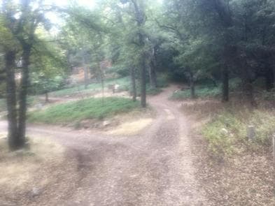 WHITE OAKS CAMPGROUND photo 3