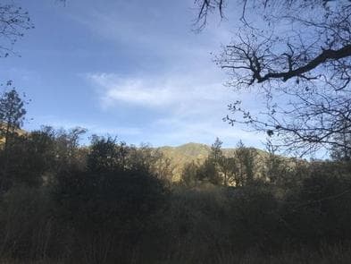 MEMORIAL CAMPGROUND photo 3