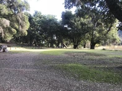 ESCONDIDO CAMPGROUND photo 3