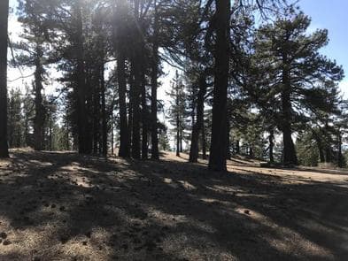 CAMPO ALTO CAMPGROUND campground