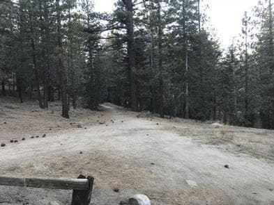 MT. PINOS CAMPGROUND photo 3