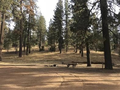 PINE MOUNTAIN CAMPGROUND photo 3