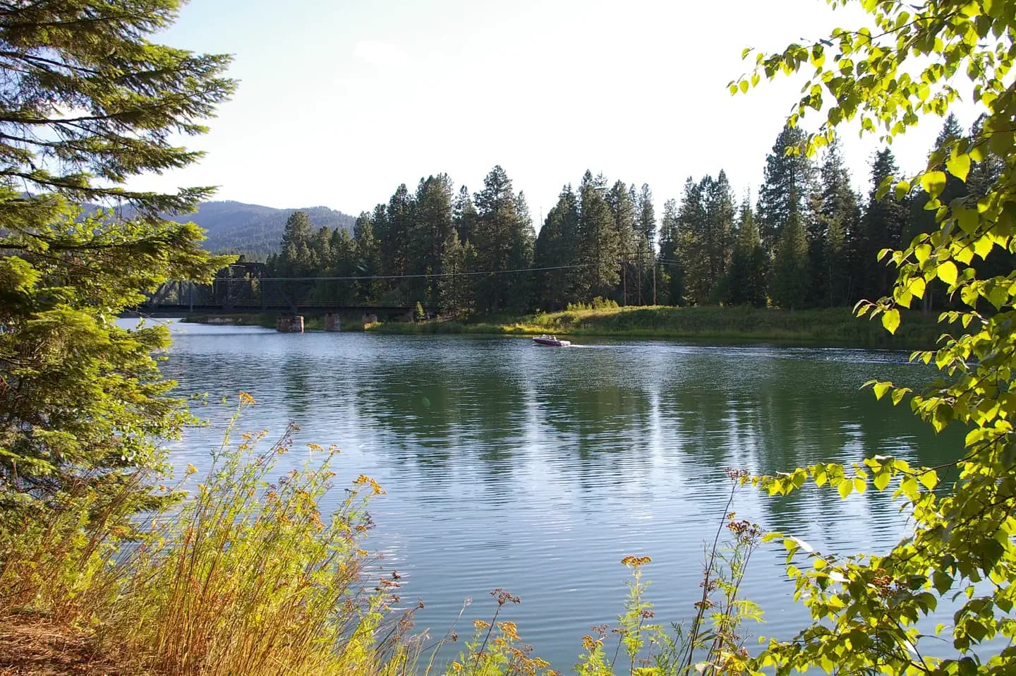 PRIEST RIVER photo 3