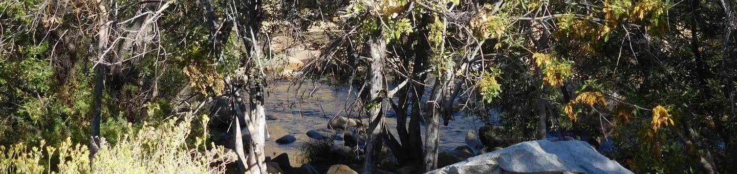 HOSPITAL FLAT campground