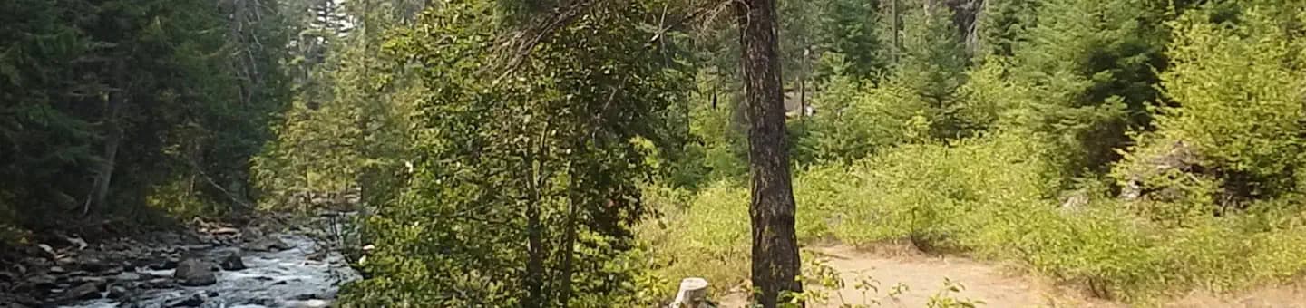 PINE NEEDLE GROUP SITE photo 3