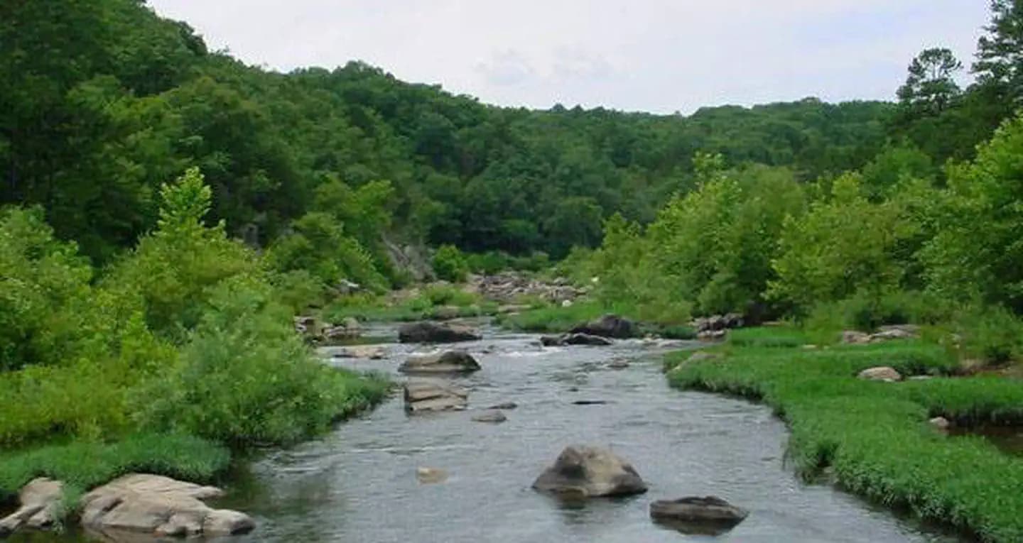 SILVER MINES photo 3