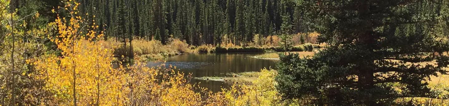 Lodgepole (Jefferson Lake, Fairplay Colorado) campground