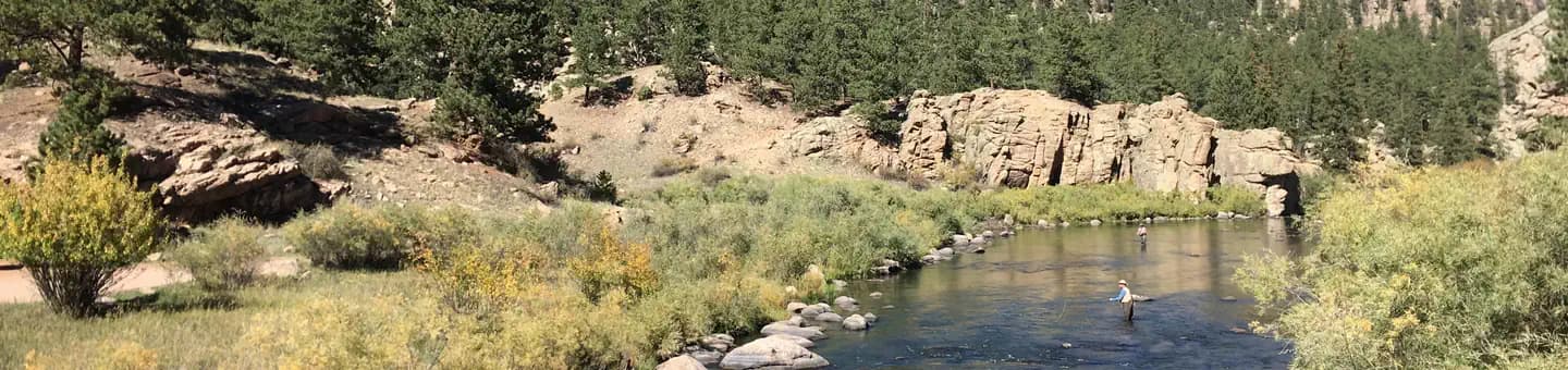 SPRINGER GULCH campground