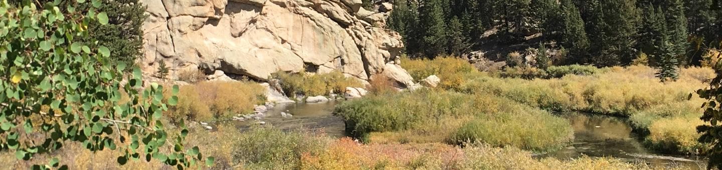 COVE CAMPGROUND campground