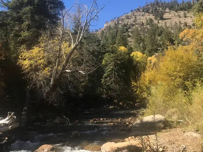 LITTLE BEAR GROUP photo 2