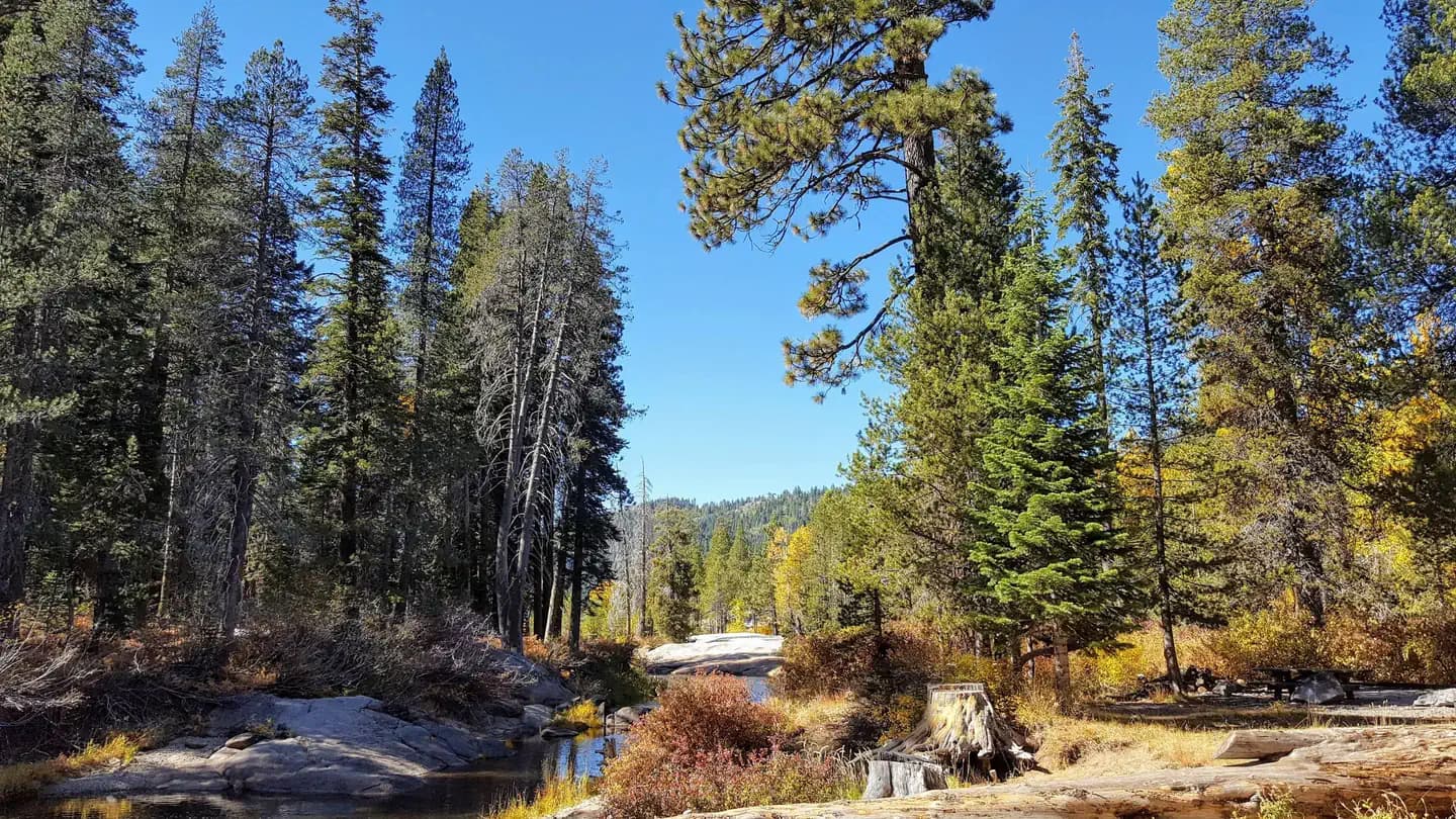 HAMPSHIRE ROCKS photo 3