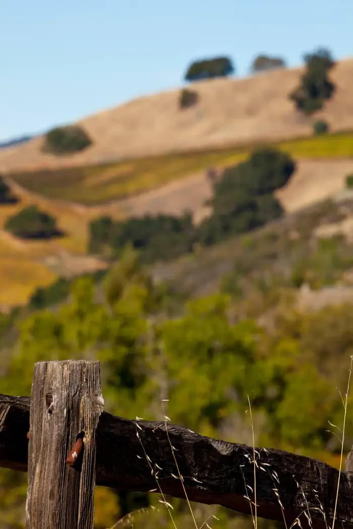 LIBERTY GLEN (LAKE SONOMA) photo 2