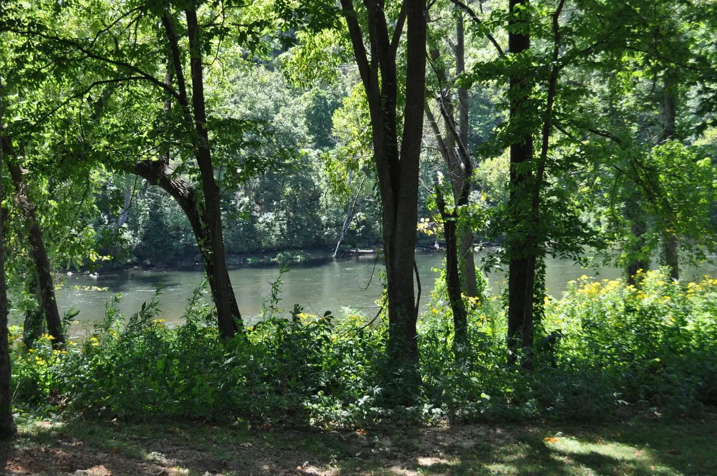 DAM - QUARRY photo 3