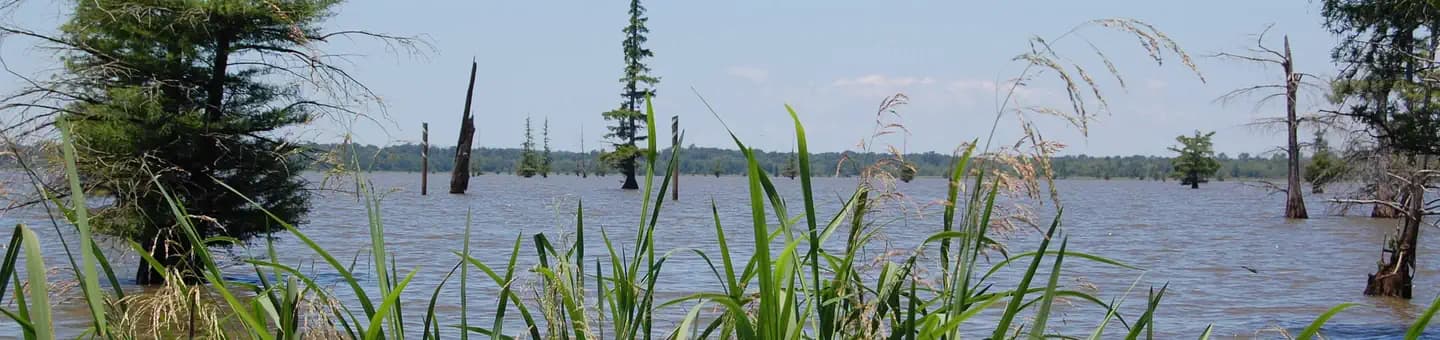 COTTONSHED PARK (AR) photo 3