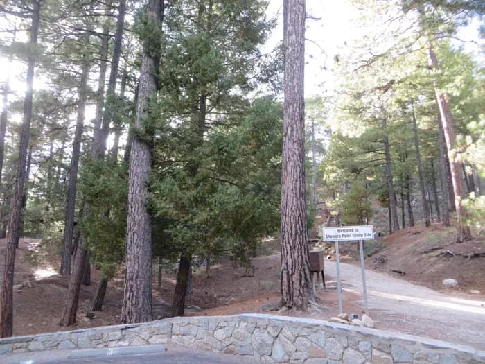 SHOWERS POINT GROUP SITE photo 3