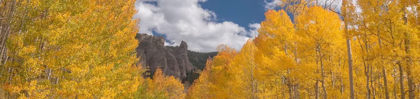 Lodgepole (Taylor River Canyon near Gunnison, COLORADO) campground