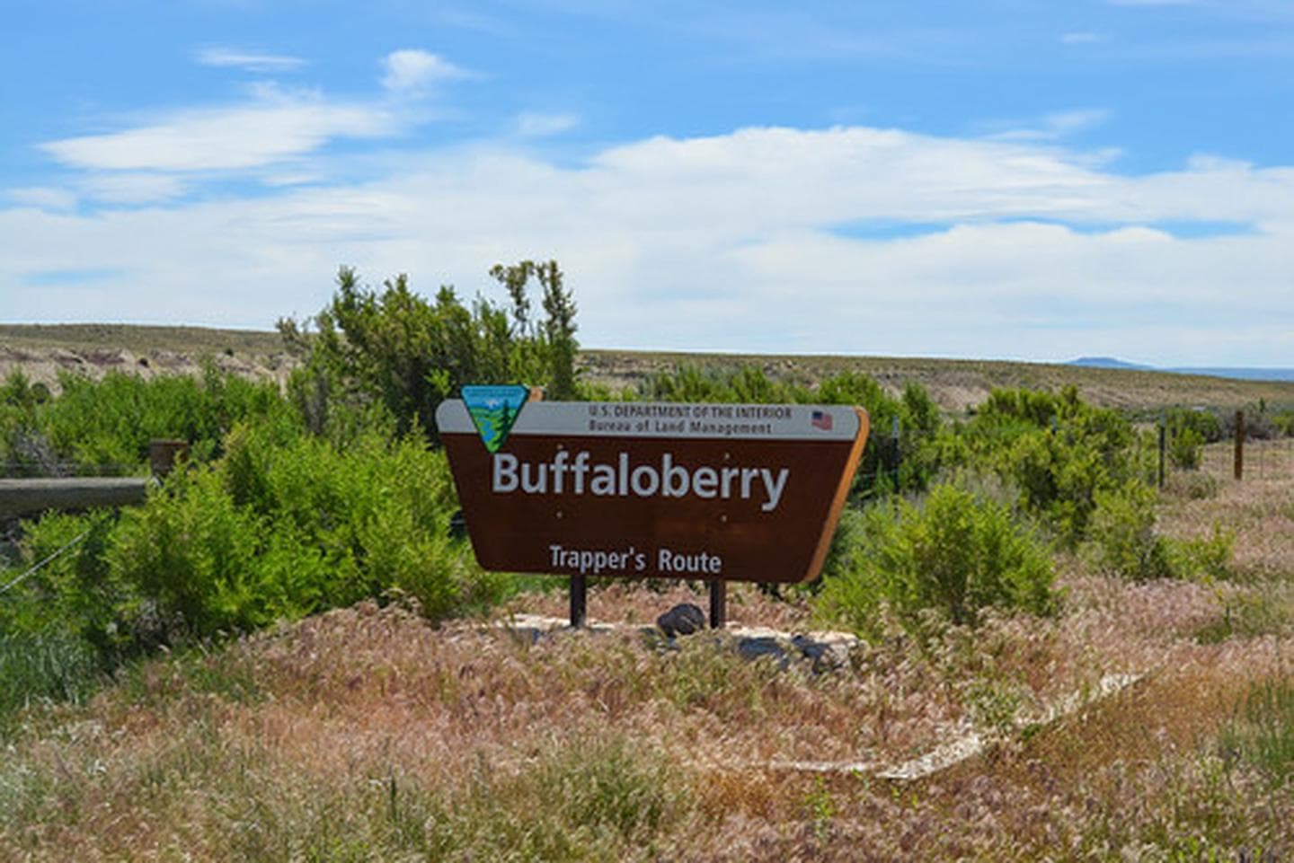 Buffaloberry Campground campground