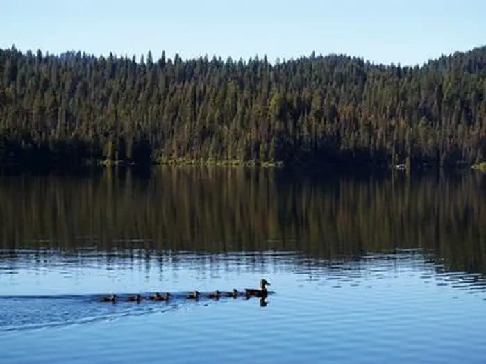 SAGEHEN CREEK campground