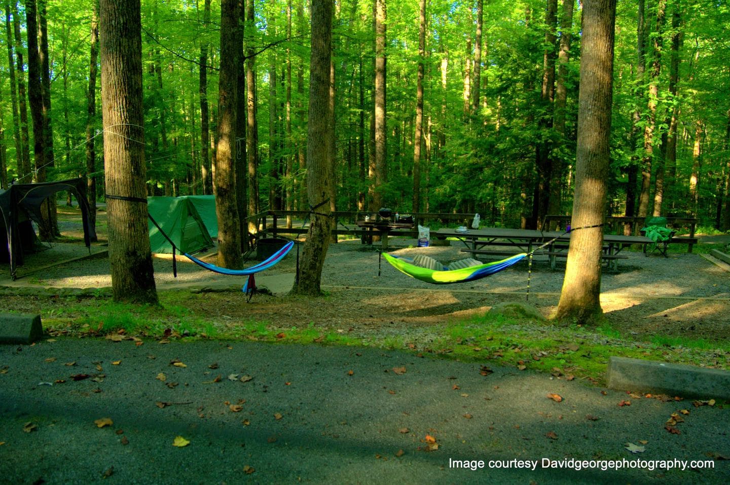 COSBY GROUP CAMP campground