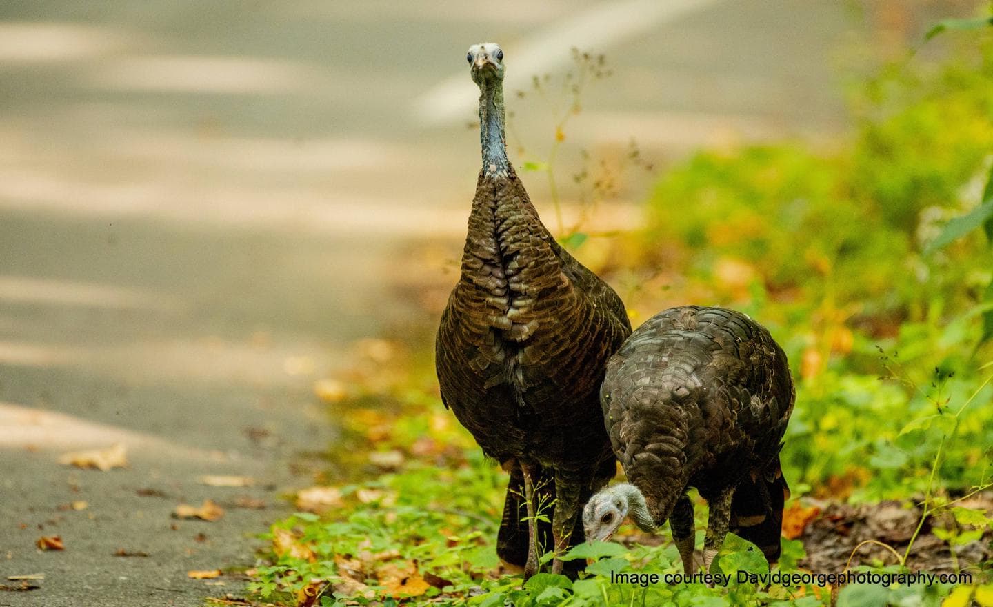 COSBY GROUP CAMP photo 3