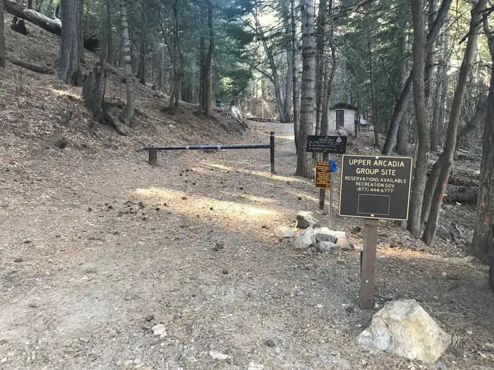 UPPER ARCADIA photo 2