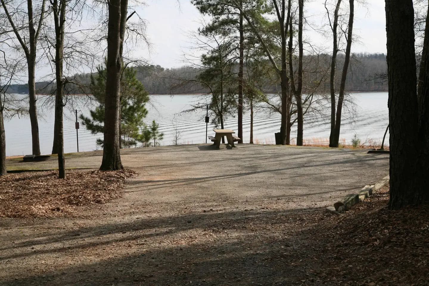 CONEROSS PARK photo 3