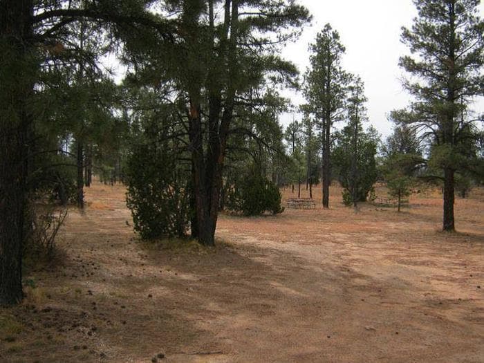 Elks Group Campground photo 3