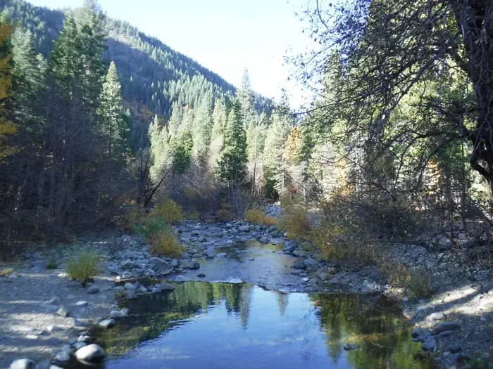 WILD PLUM campground