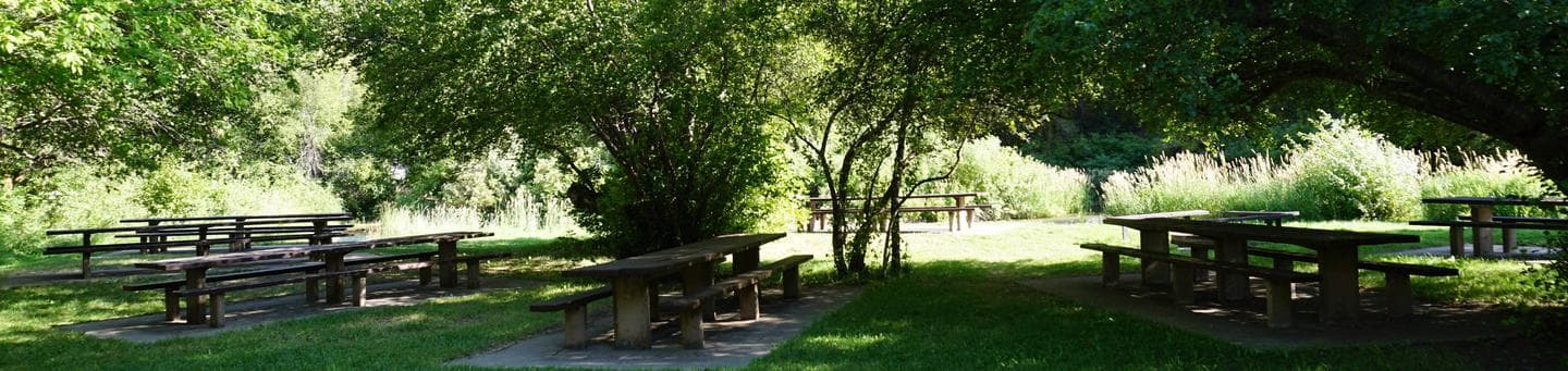 FRIENDSHIP CAMPGROUND photo 3