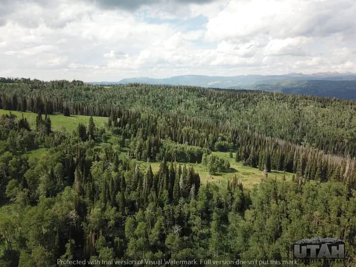 WOLF CREEK (UT) photo 2