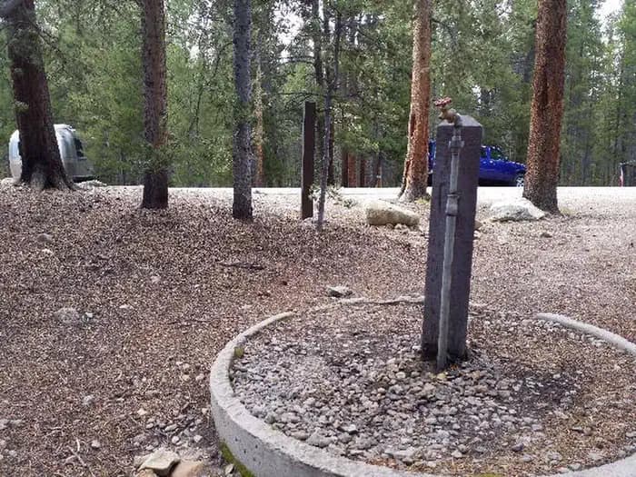 SILVER DOLLAR photo 2