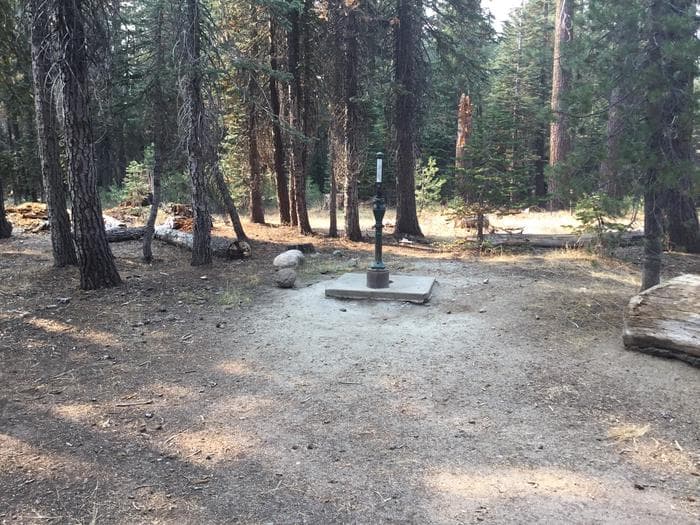 (Lake Alpine) Lodgepole Campground photo 3