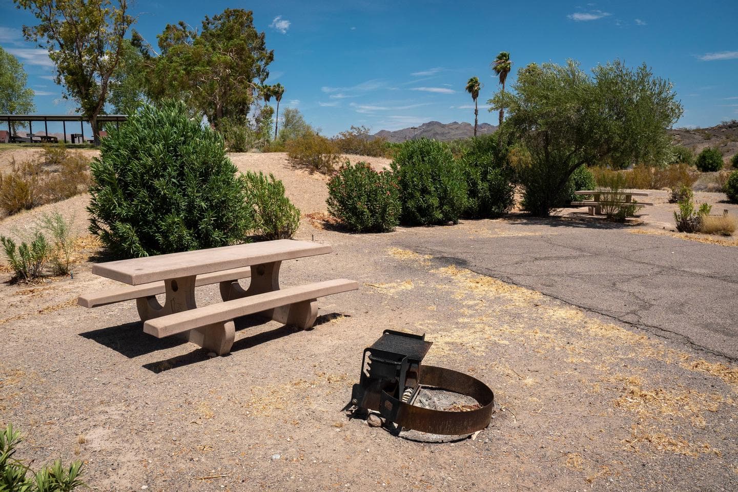 Callville Bay Campground