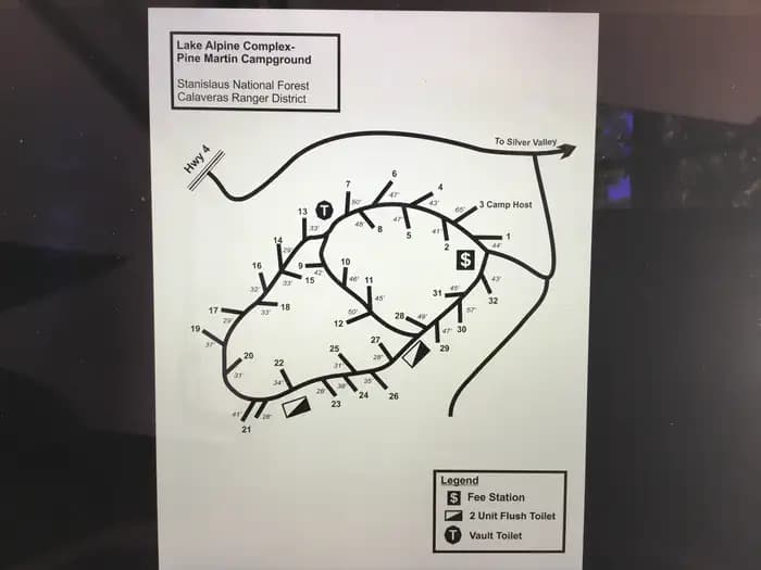 (Lake Alpine) Pine Marten photo 2