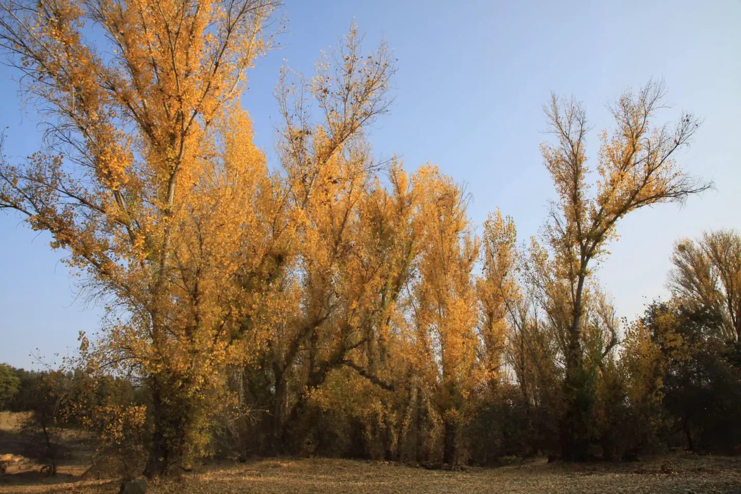 Horseshoe Road Recreation Area photo 2