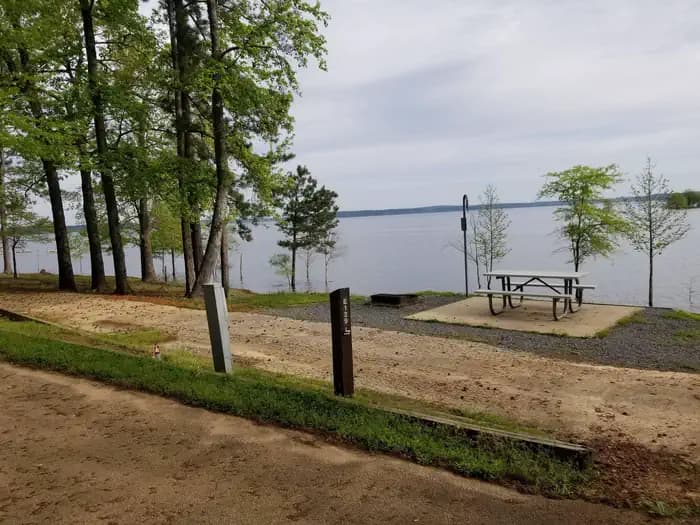 Hornswoggle Group Campground photo 3