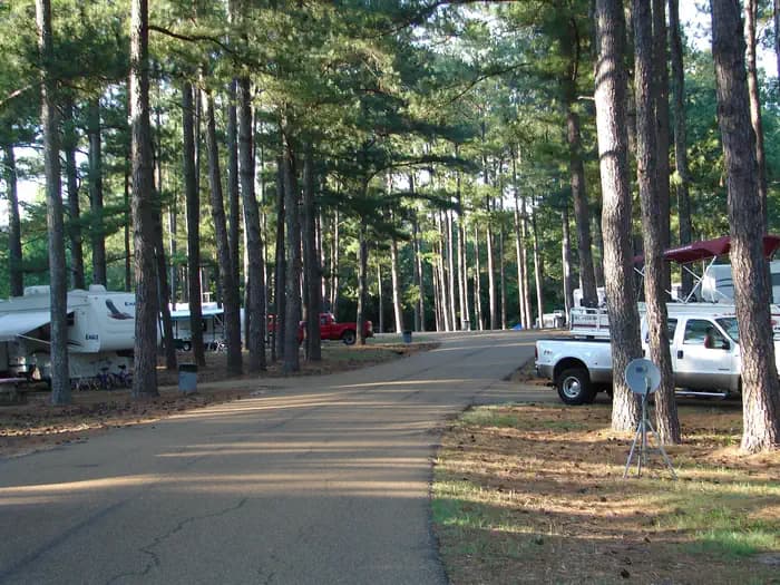 WALLACE CREEK photo 3