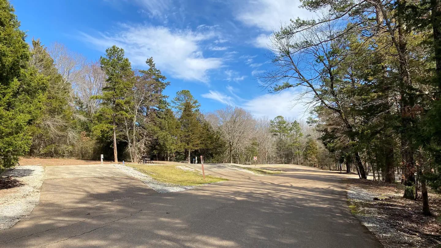 NORTH GRAYSPORT photo 2