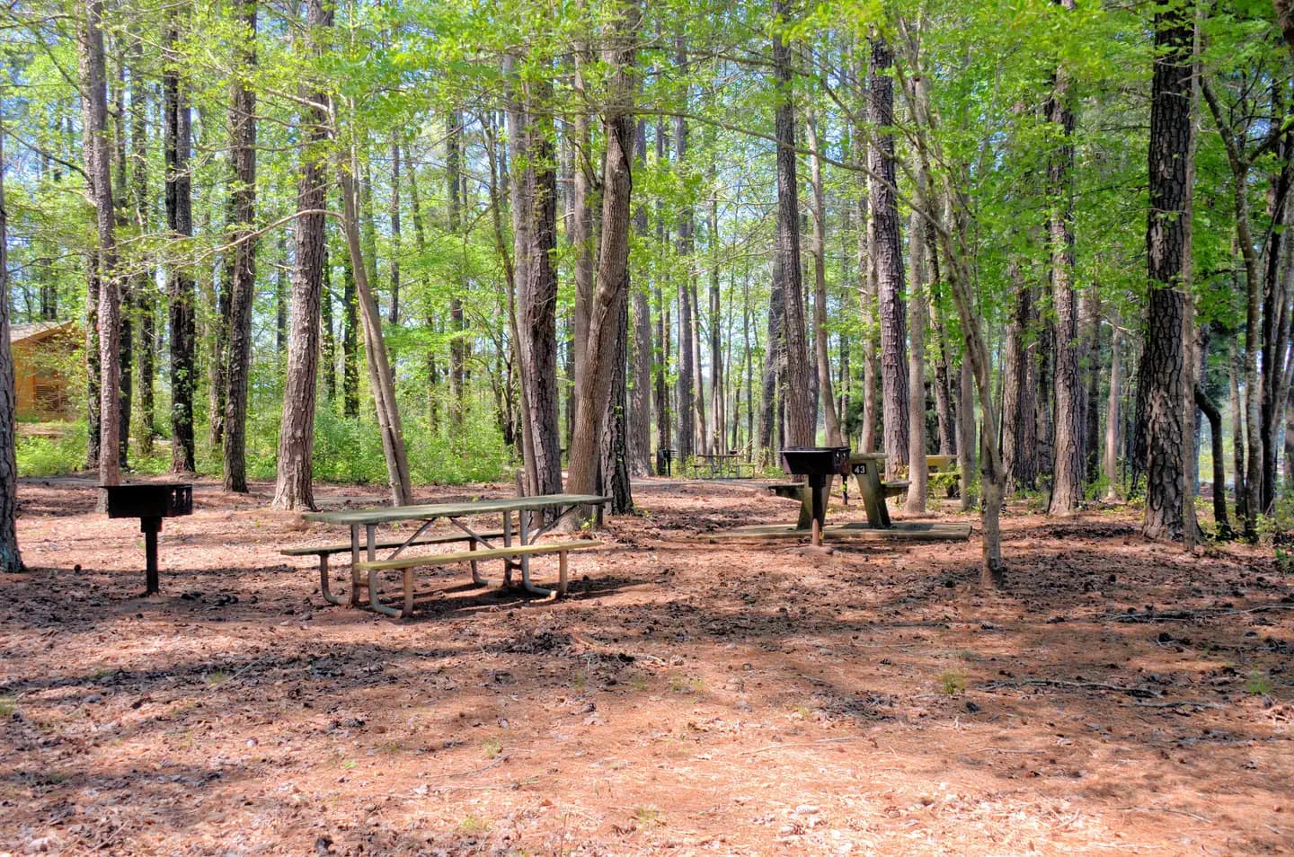 GALT'S FERRY DAY USE AREA (GA) campground