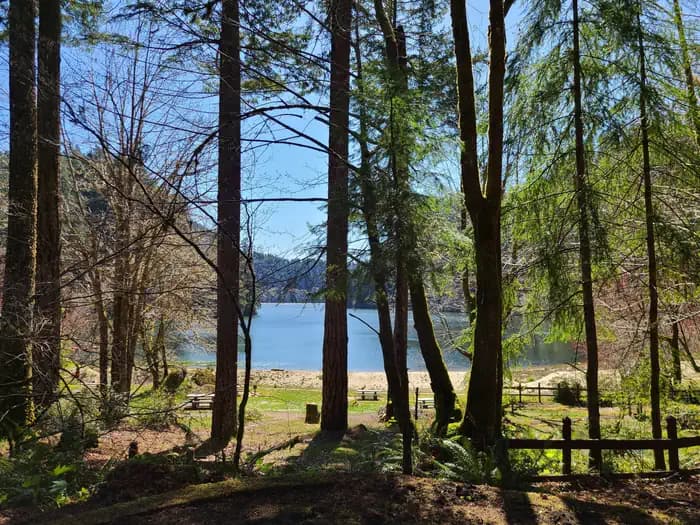 LOON LAKE RECREATION SITE