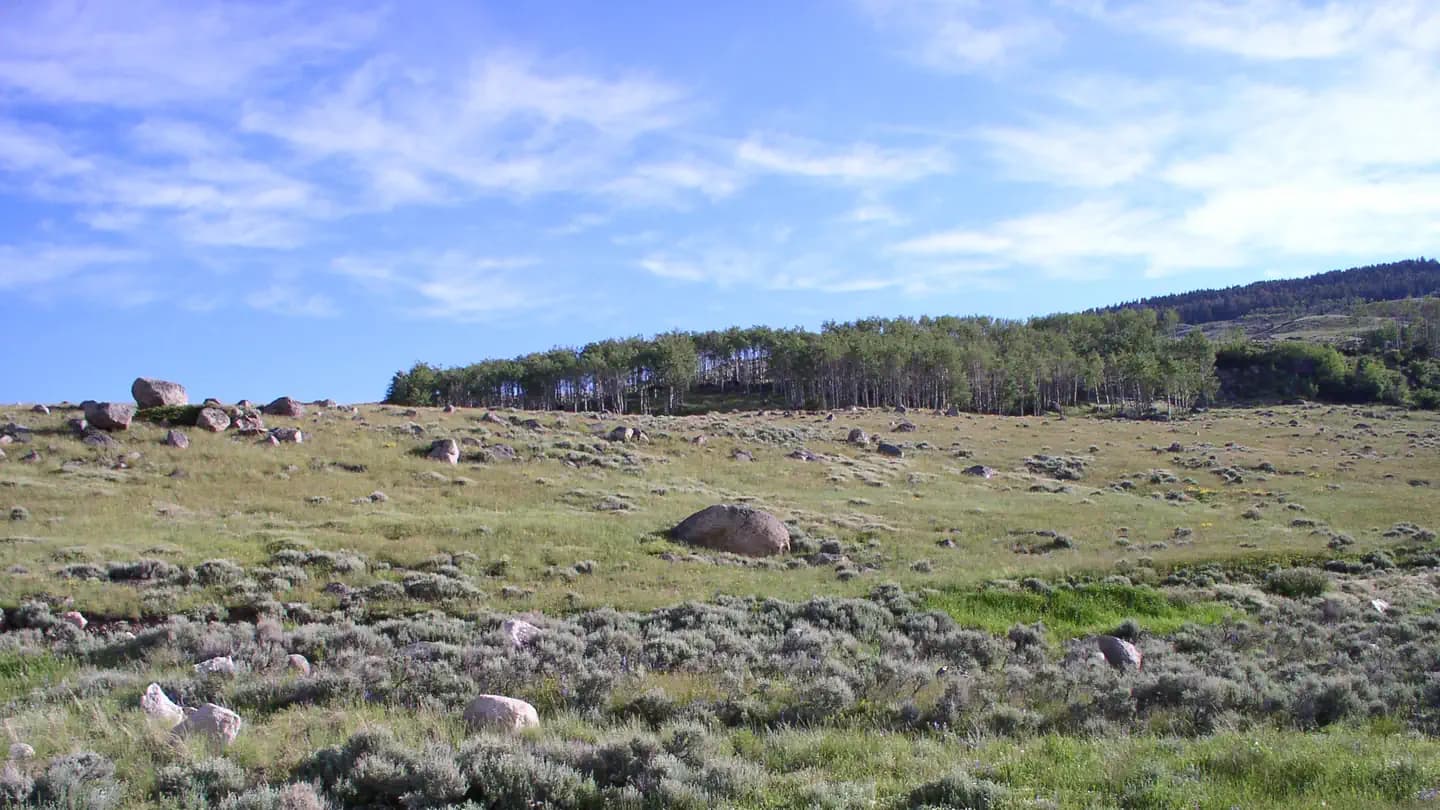 SHELL CREEK campground