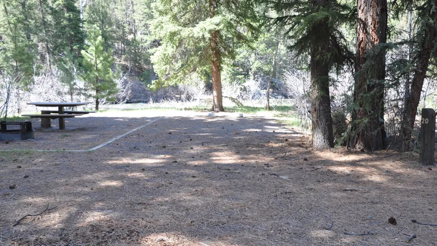 Aspen Glade (Rio Grande National Forest, CO) campground