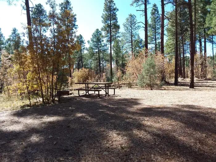 LEWIS CANYON campground