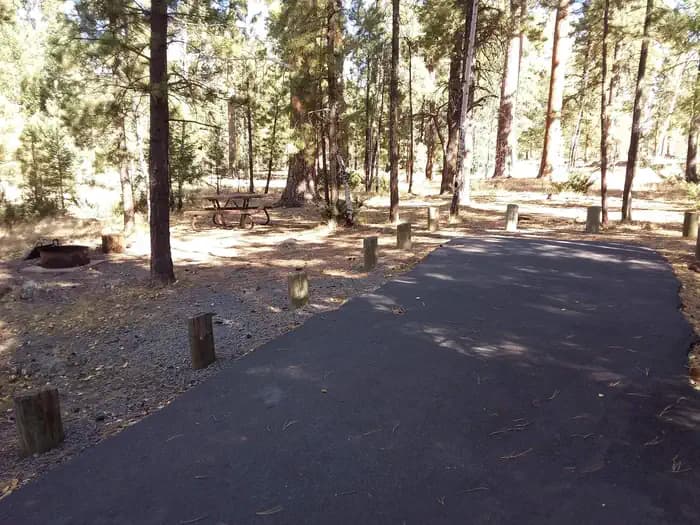 RAINBOW (AZ) photo 2