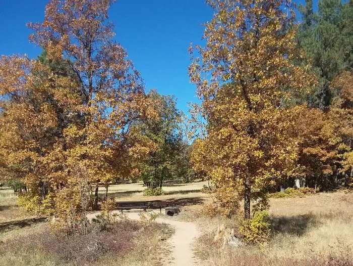 ASPEN (AZ) campground