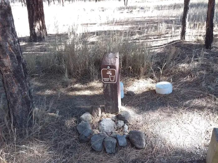 Redondo Campground photo 2